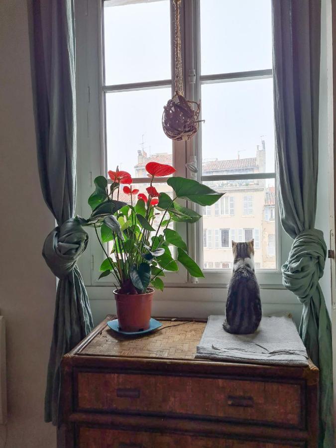 Jolie Chambre Dans Appartement Cosy En Plein Centre Marseille Exterior photo